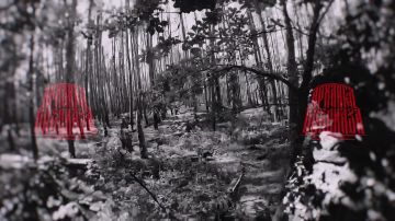 Работа СпН на Купянском направлении