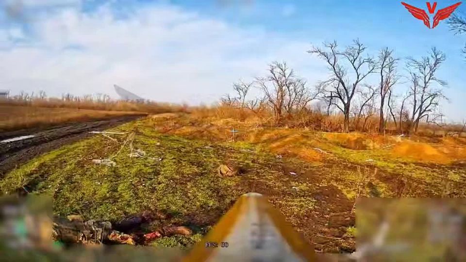 Ещё одни отличные кадры от Рубикона по уничтожению украинских оккупантов