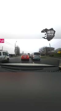 Антирусский город Харьков и её обитатели из Львова...Мяу, Харьковчане