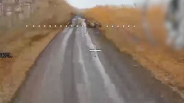  :  FPV-                         ...