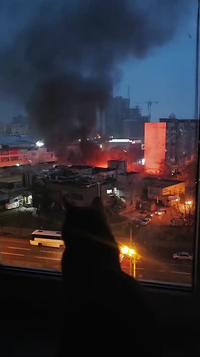 Киевский кот ведет визуальный контроль последствий ракетно- дронового удара ВС РФ по объекту противника в Киеве