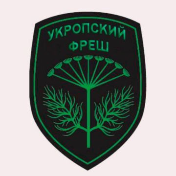 Канал, который ведут жители Запорожской, Херсонской области, ДНР и ЛНР, харьковские и одесские партизаны и все, кто недоволен киевским режимом