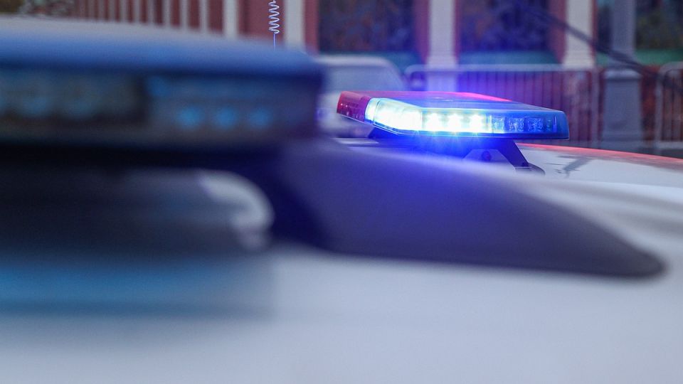 ���� ������� �������� ������ �������� ����� � ����