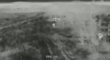  :  ..                 (@batalyonshayhmansura)  ...