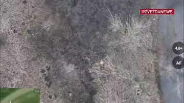 Бойцы уничтожили пехоту ВСУ, которая пыталась деблокировать свою окруженную группировку на левом берегу реки Оскол в Купянском районе