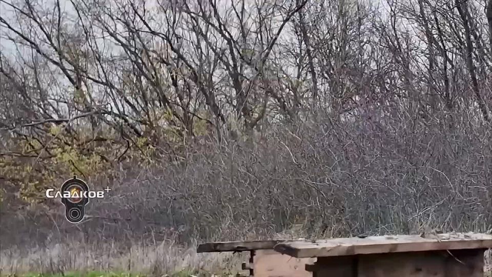  :  ,         : , , ,  ,   ,       -   