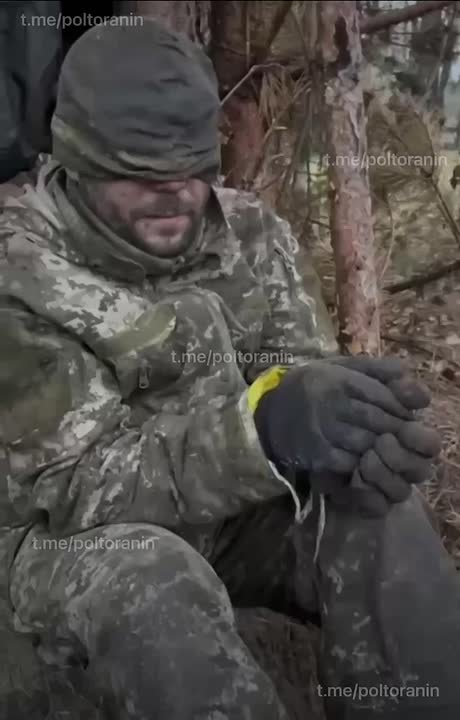 Пленные боевики ВСУ, взятые в Волчанске