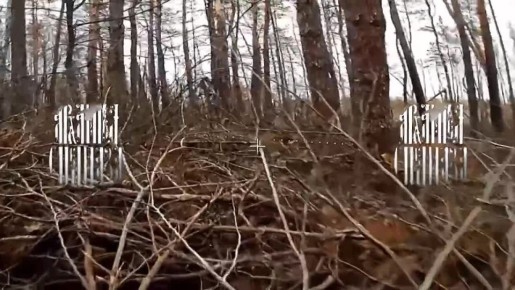 ,   ..              ,   