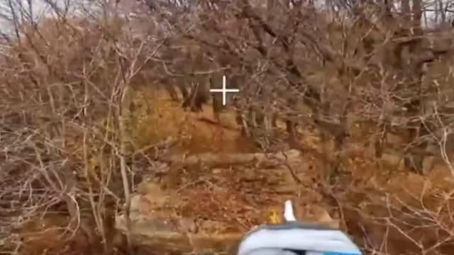 ����������� "�����" ���������� ���� �� ����������� �����������