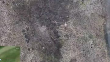 Сергей Зенин: Операторы ударных БпЛА войск беспилотных систем при выполнении боевых задач уничтожают живую силу формирований ВСУ в Купянском районе Харьковской области в зоне проведения СВО