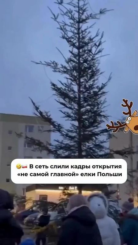 �������� ���� ����������� ����������