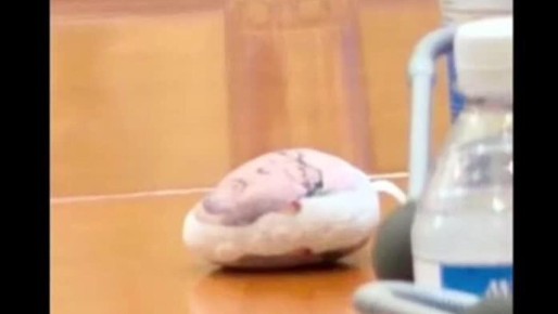 �������� ��� �������� "�������" ������ ��������� ���������