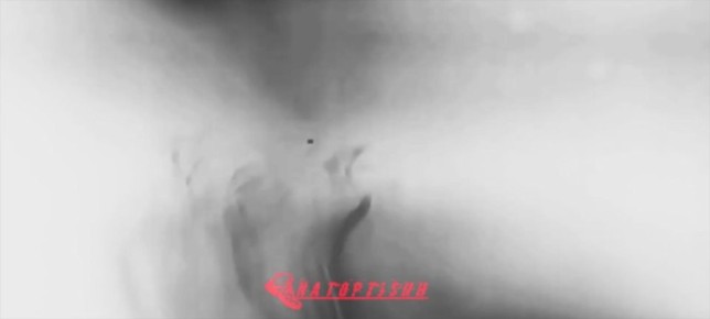 Кадры боевой работы мобильной группы ПВО группировки "Север" в приграничье Харьковской области