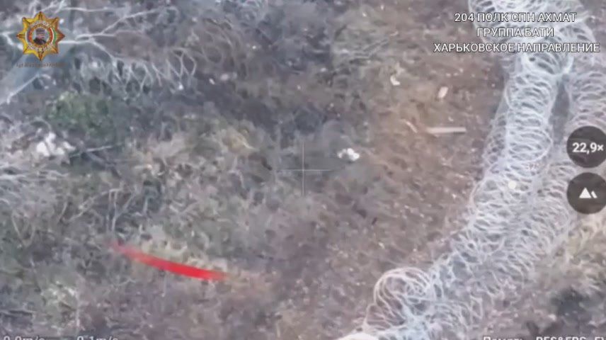 ���� ���������: ����������� ���������� �������� � ����� ����� ���������� � ���������� ������� ���������