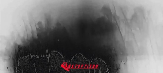 Кадры эффективной работы мобильной огневой группы в приграничье Харьковской области по БПЛА ВСУ