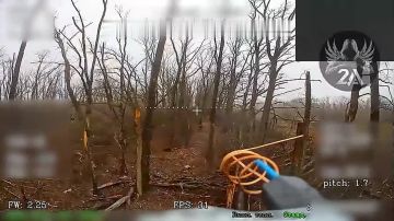 Днепропетровская область. Украинский военный кинул «зигу» при виде дрона и сразу сдох