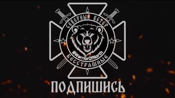 Кадры ударов Торнадо-С высокоточными ракетами по украинским позициям на Волчанском направлении