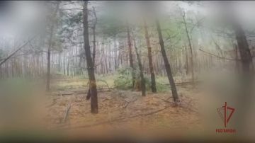 Бойцы «стальной» бригады Росгвардии уничтожили АГС украинских боевиков в Харьковской области