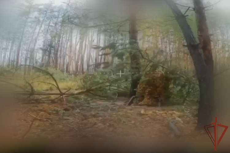 Бойцы «стальной» бригады Росгвардии уничтожили АГС украинских боевиков в Харьковской области (видео)