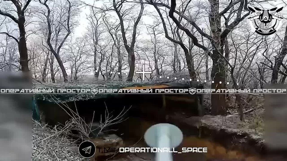 ����������� ���������� ���� ������ � �������� ������ �� ��������� �����������