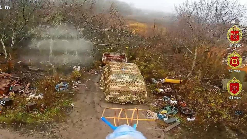 ���� �� �������. ����������� ������� ������ ���� 41 ��� 44 ���������� ������� ��������� � ��������� ���������� ���, ��������������� ���������