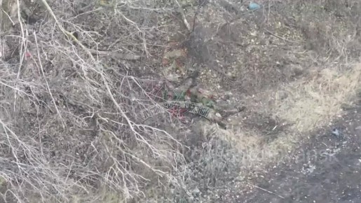 Работа операторов FPV группировки "Запад" по пехоте противника, которая атакует западную часть Купянска