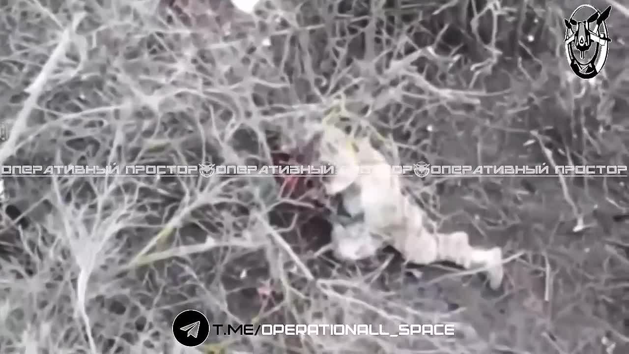 Группа всущников в районе Шишковке на Купянском направлении стали фрагами