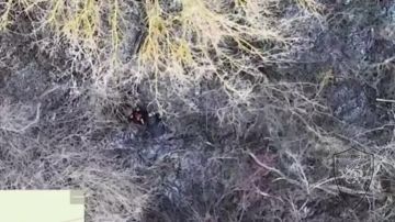 Дмитрий Стешин: История из Купянска достойная экранизации: