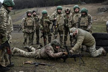 РИА Новости: Бойцы ВСУ готовы бежать с позиций в Подолах из-за голода