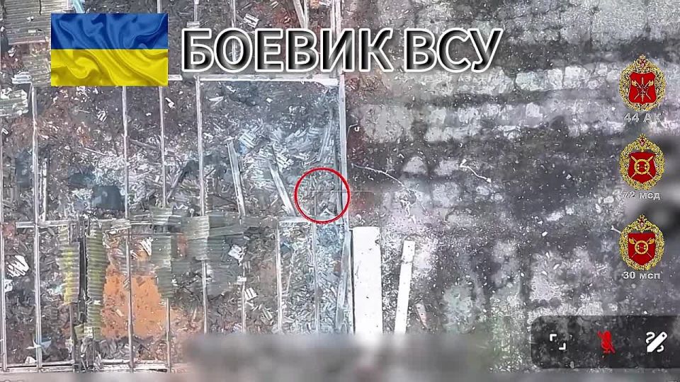 ��� ��������. ������� ������� ������ ���� 30 ��� 44 ���������� ������� ������� ������� ��� ������ ���������� � ����