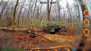 � ���� ����. ����������� ������� ������ ���� 41 ��� 44 ���������� ������� ��������� � ��������� ������� ���