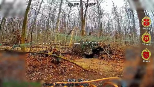 � ���� ����. ����������� ������� ������ ���� 41 ��� 44 ���������� ������� ��������� � ��������� ������� ���