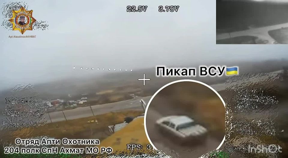 ���� ���������: ����������� ���������� �������������� (������)