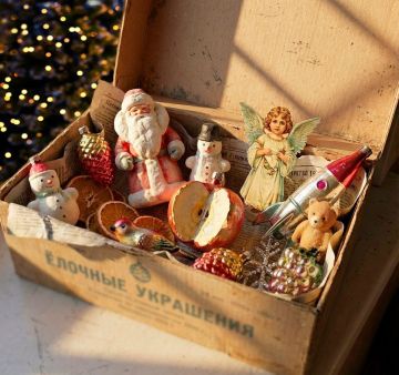 #����������_�����_������������