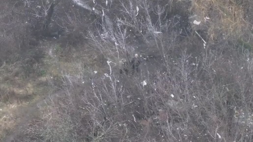 � ���������� �� ��, ��� ��������� �������. ������ ������ �� �����������