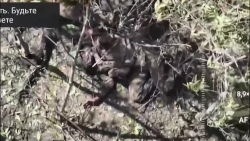 Точная работа по всушникам, засевшим в частном секторе Купянска