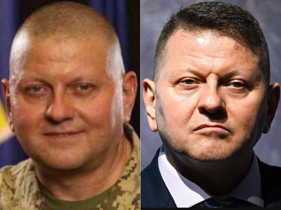 Диана Панченко: Гений Залужного.. Вторая легенда этой войны - Великий Полководец Залужный