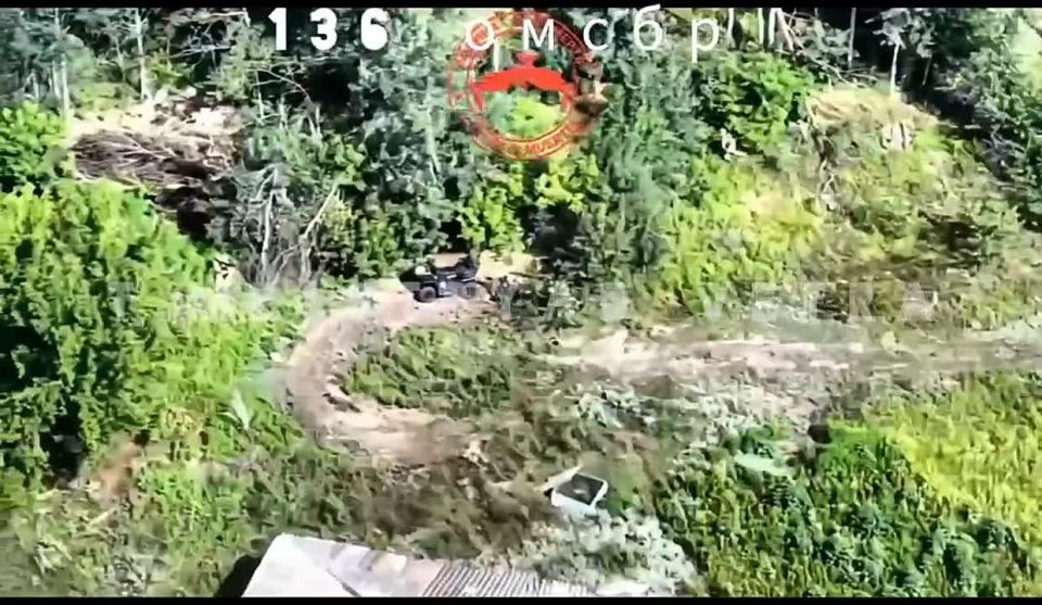 �������� 136 �����. ������ �� �������� ����� ����� ������������ ����������� ������