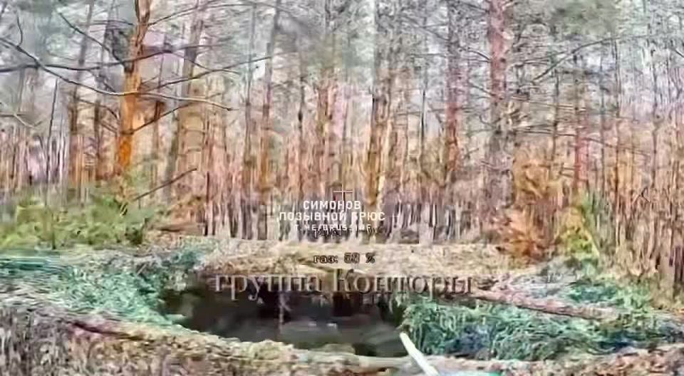 ��� �� ���������?. ������ ���������� � ����� ��������, �� ����� ����������� ���������� �������� � �� ��������� � ������� �� ������