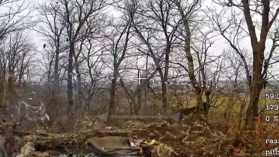 ������ �������� ���� ��������� ��. ������� ���������