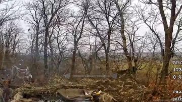 ������ �������� ���� ��������� ��. ������� ���������