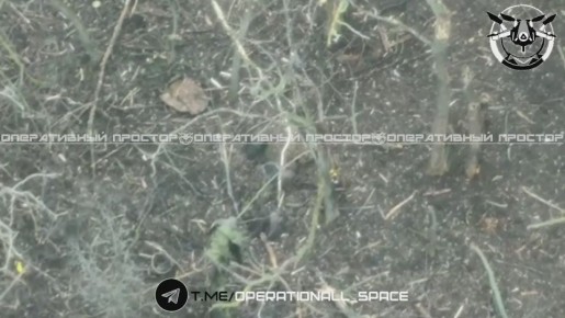 �������� ����� 6 ����� ������������ ������ ���������� ������ � ���������� �� ��������� �����������