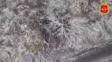 ���������� ����� ������ ��������� � ����� ���