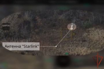 ����� ���������� ���������� ������� ����������� ����� Starlink �� ����������� ����������� (�����)