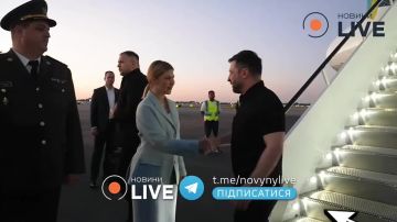 Зеленского в футболке встречали на флоридской земле лучшие представители украинского государства на американской земле: какой-то мужик, летчик и какая-то дивчина
