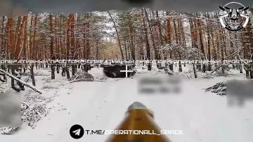 �������� ��� ���� ��������� �113 ��� �� ��������� �����������