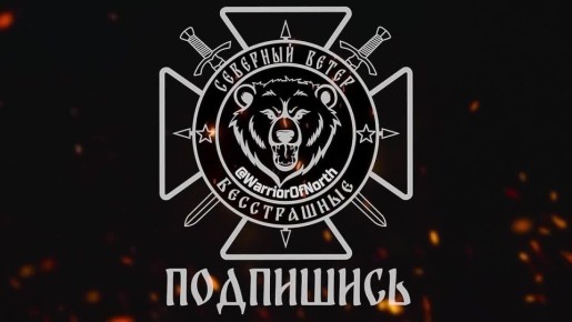 Применение высокоточных снарядов Краснополь по украинским позициям в Графском Харьковской области