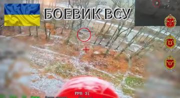 ����� � �������. ������� ������� �������� ���� 30 ��� 44 ���������� ������� ������������ ������� ���, ����������� �������� � �����