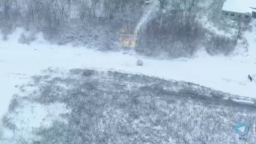 ��������� �����������. ��������� ��������������� ��������� � ��������� ���