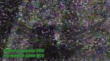 ������ �������� �� ������� 1 ��� 13 ����� �� ��������� ������� ������ �������� ������� ����� � �������